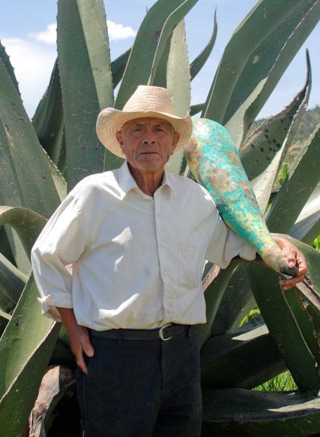 Pulque Aguamiel Extraction Expert