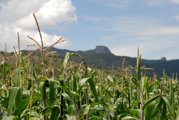 Pulque Hacienda Views